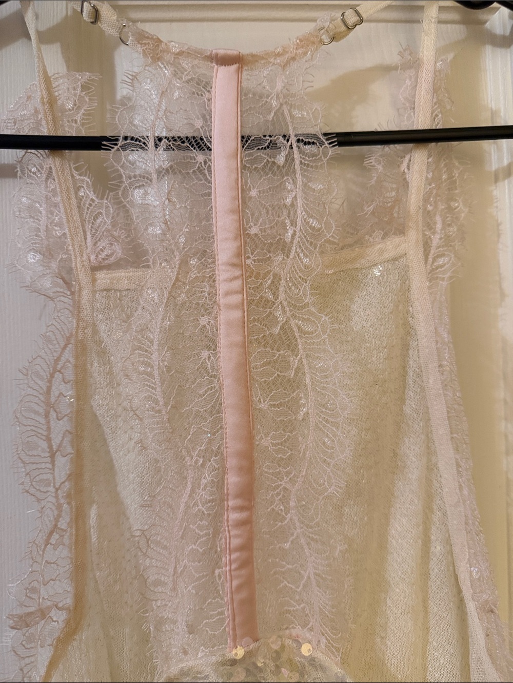 Free People Take Me Away Sequin and Lace Tank - Picture 10 of 11